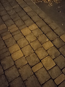 1000000080.jpg