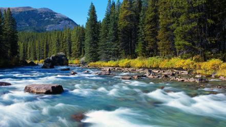 nature-panorama-m42679.jpg