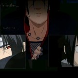 31595-20040811161517