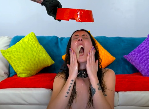 Porn-Whore-894-509.jpg